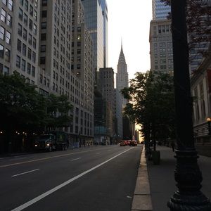 Meet your Posher, Sandys onesimo